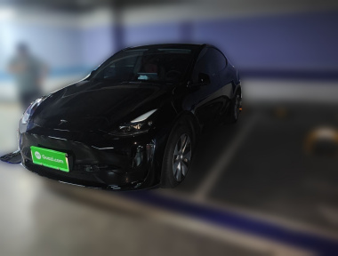 Tesla Model Y 2022 Tesla Model Y 2022 car image