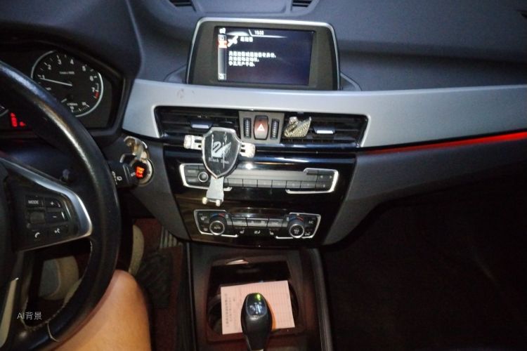 BMW X1 2017 car image #15