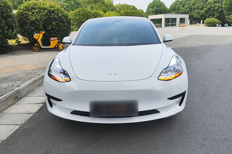 Tesla Model 3 2023 #3 Tesla Model 3 2023 car image #3