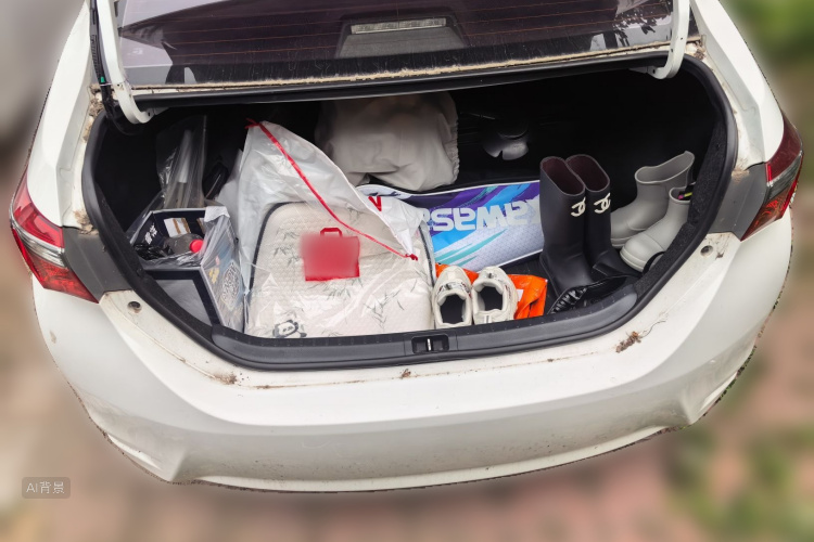 Toyota Corolla 2018 #21 Toyota Corolla 2018 car image #21