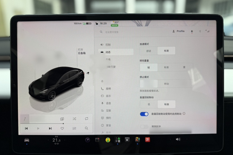 Tesla Model 3 2022 immagine di auto #15