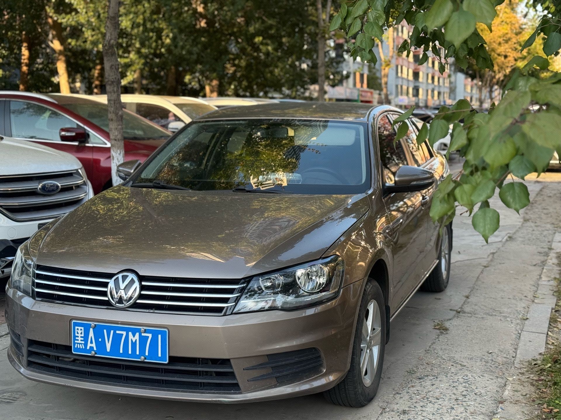 Volkswagen Bora 2014 Volkswagen Bora 2014 car image