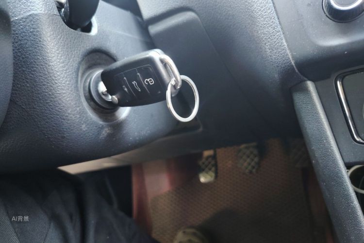 Volkswagen Polo 2016 car image #10