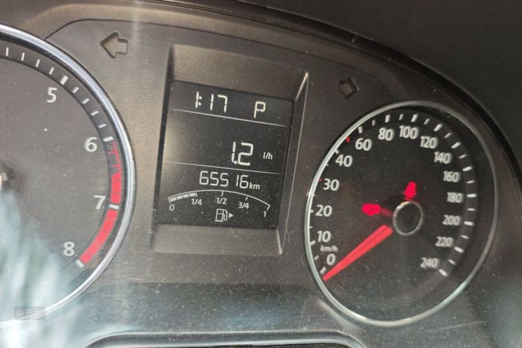 Volkswagen Polo 2016 car image #14