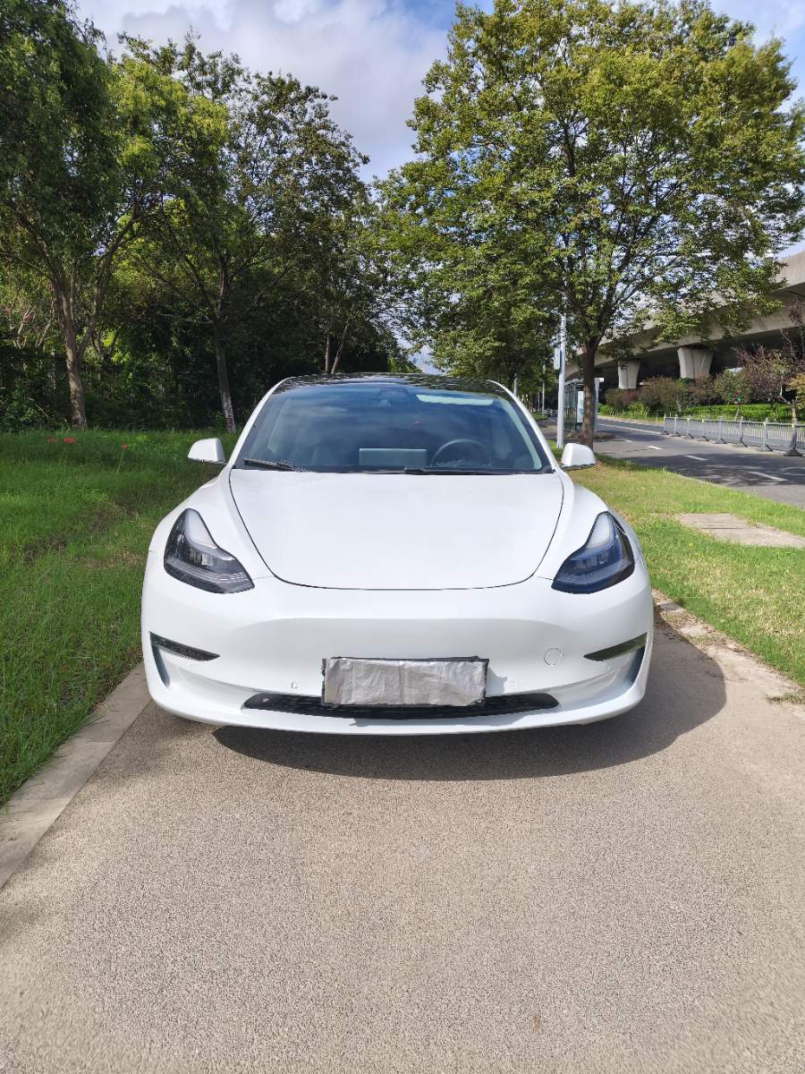 Tesla Model 3 2020 #2 Tesla Model 3 2020 car image #2
