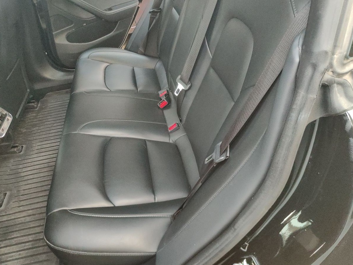 Tesla Model 3 2020 #3 Tesla Model 3 2020 car image #3