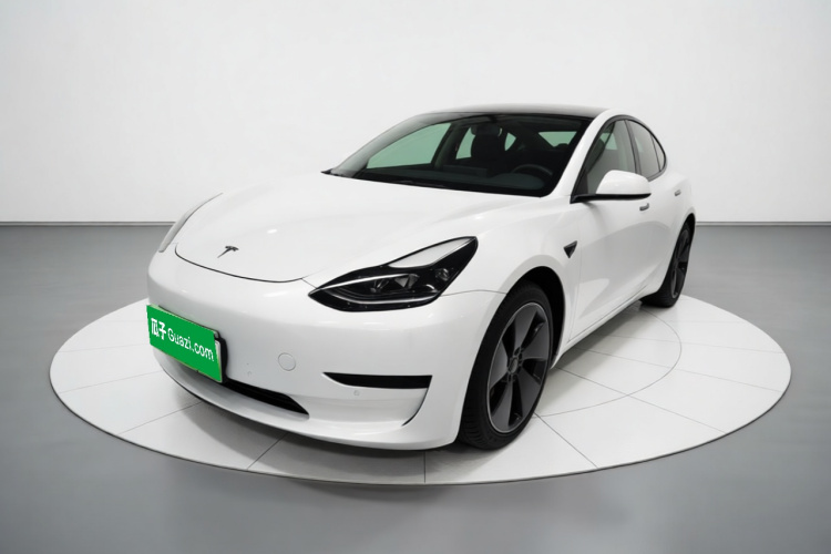 Tesla Model 3 2021 #2 Tesla Model 3 2021 car image #2