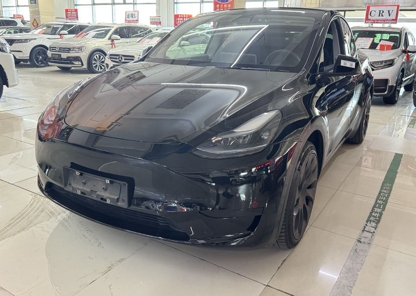 Tesla Model Y 2022 car image 