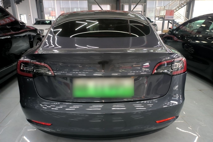 Tesla Model 3 2022 car image #6