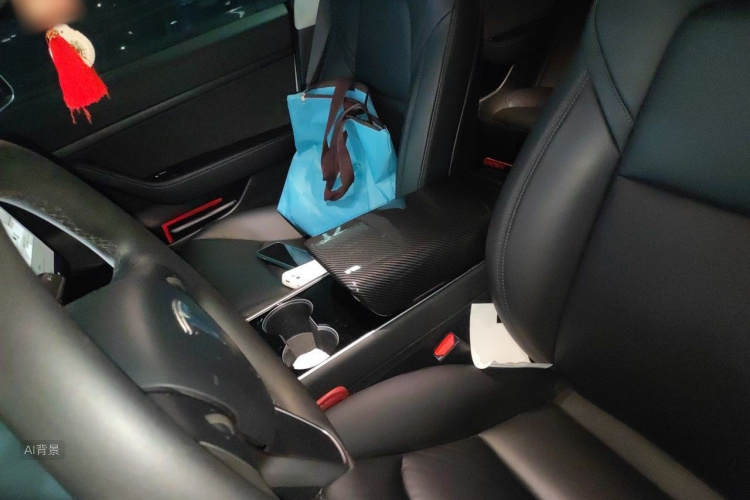 Tesla Model 3 2020 car image #17