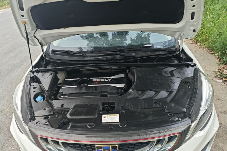 GEELY Emgrand GS 2019 car image #20