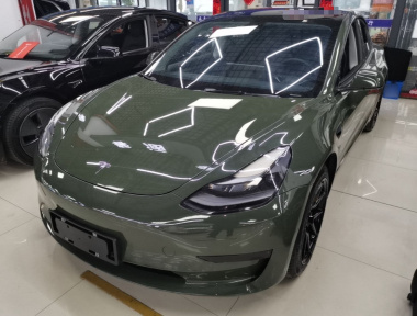 Tesla Model 3 2021 Tesla Model 3 2021 car image