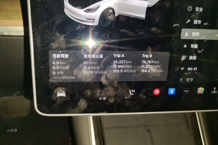 Tesla Model 3 2020 car image #14