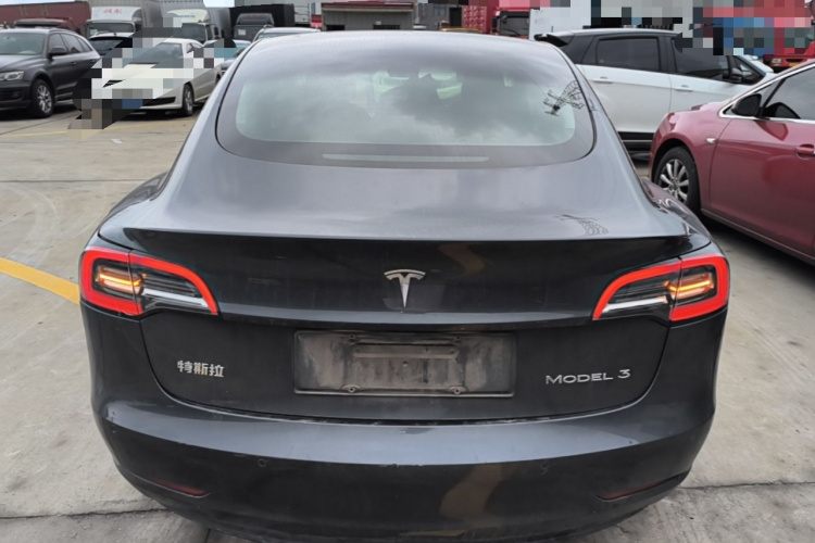 Tesla Model 3 2021 car image #6