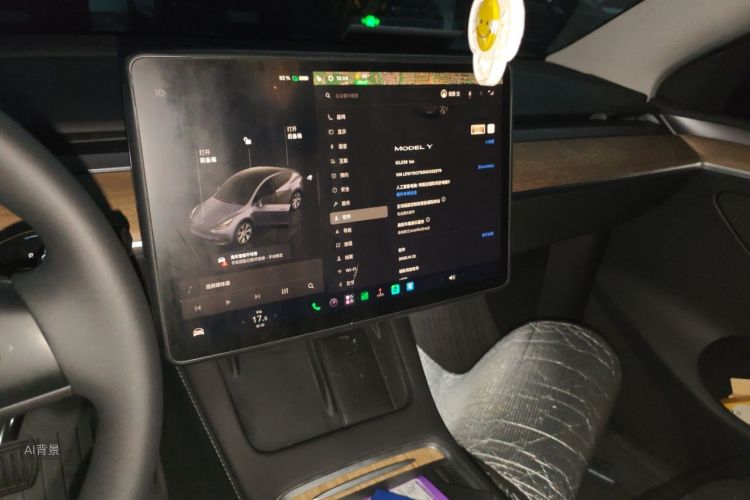 Tesla Model Y 2022 #15 Tesla Model Y 2022 car image #15