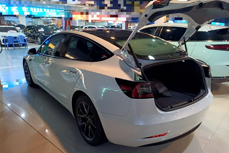 Tesla Model 3 2021 #5 Tesla Model 3 2021 car image #5