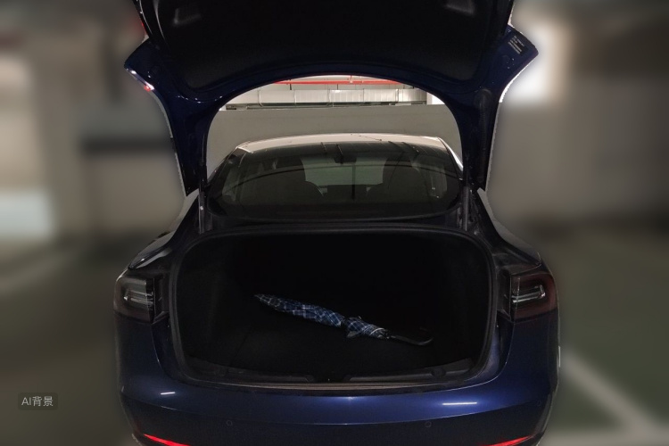 Tesla Model 3 2020 #21 Tesla Model 3 2020 car image #21