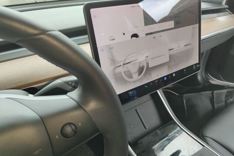Tesla Model 3 2020 car image #14