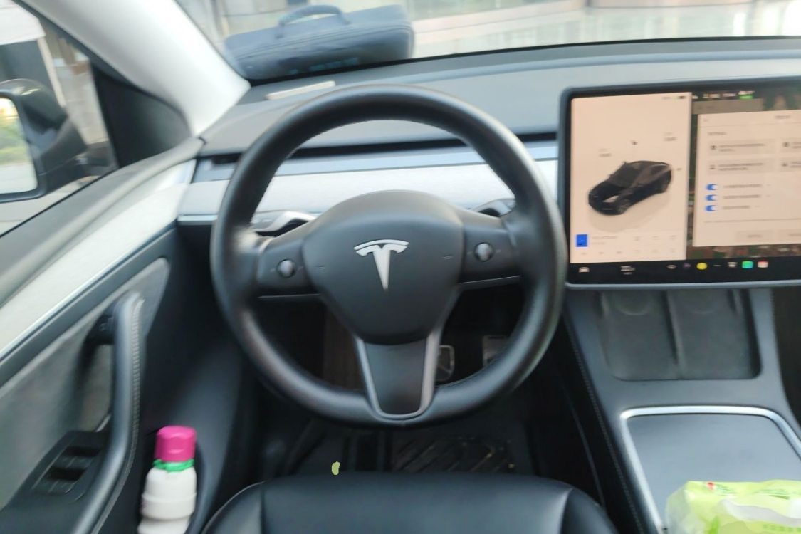 Tesla Model Y 2024 immagine di auto #24