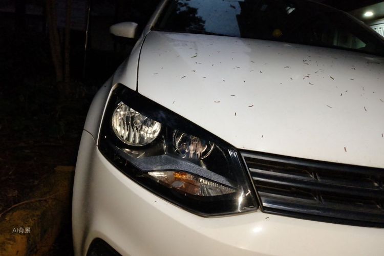 Volkswagen Polo 2014 #8 Volkswagen Polo 2014 car image #8