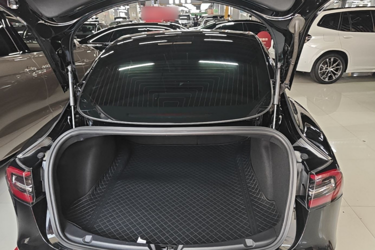 Tesla Model 3 2020 #19 Tesla Model 3 2020 car image #19