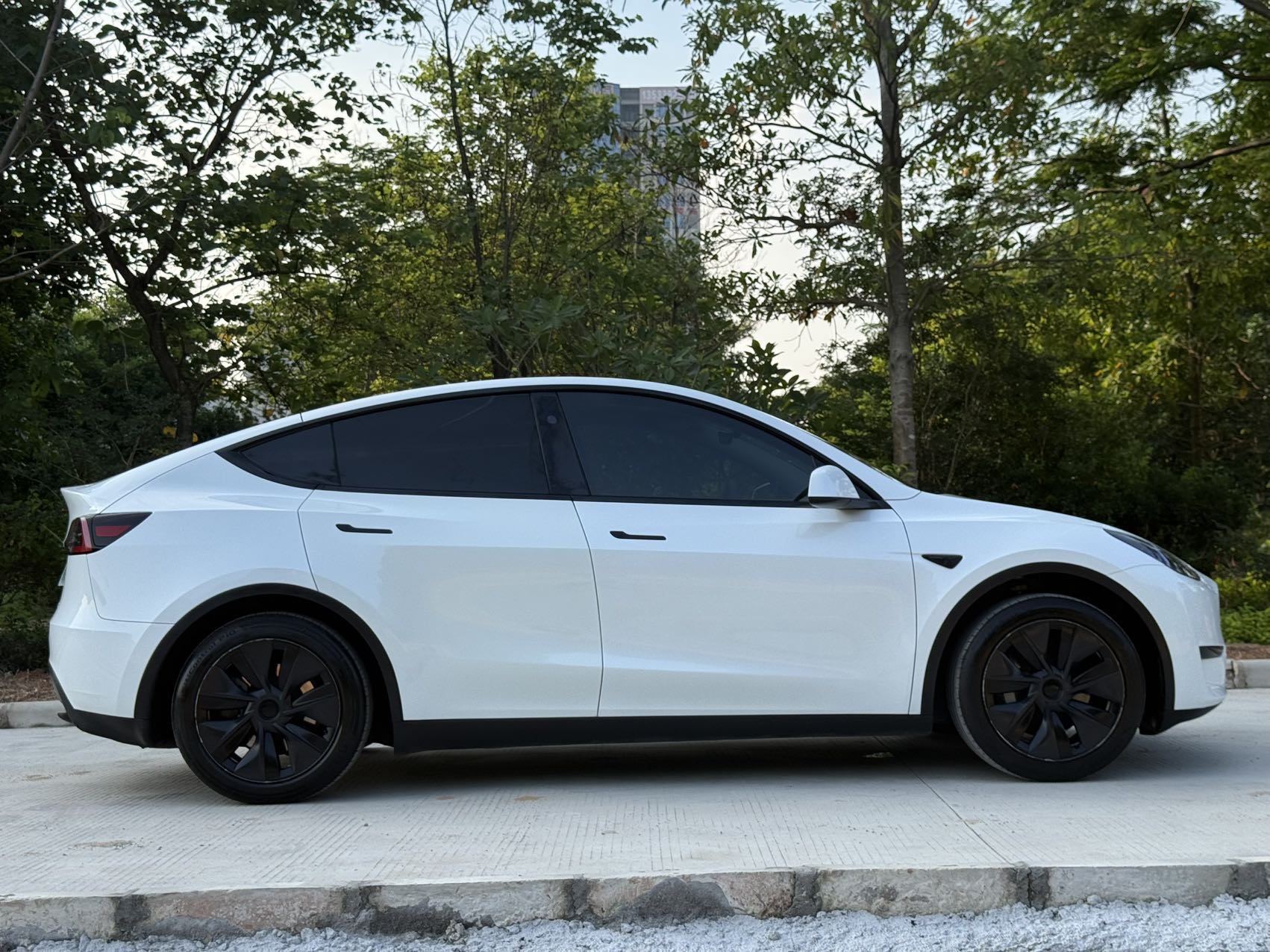 Tesla Model Y 2024 #14 Tesla Model Y 2024 car image #14