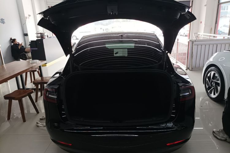 Tesla Model 3 2021 #19 Tesla Model 3 2021 car image #19