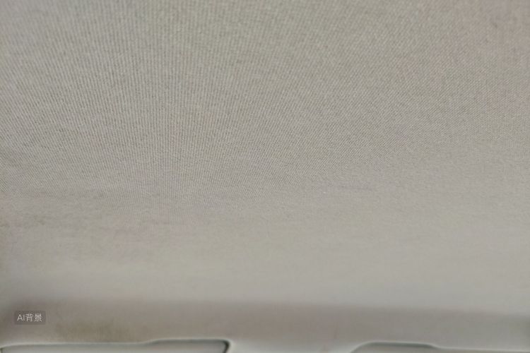 Volkswagen Santana 2018 car image #20