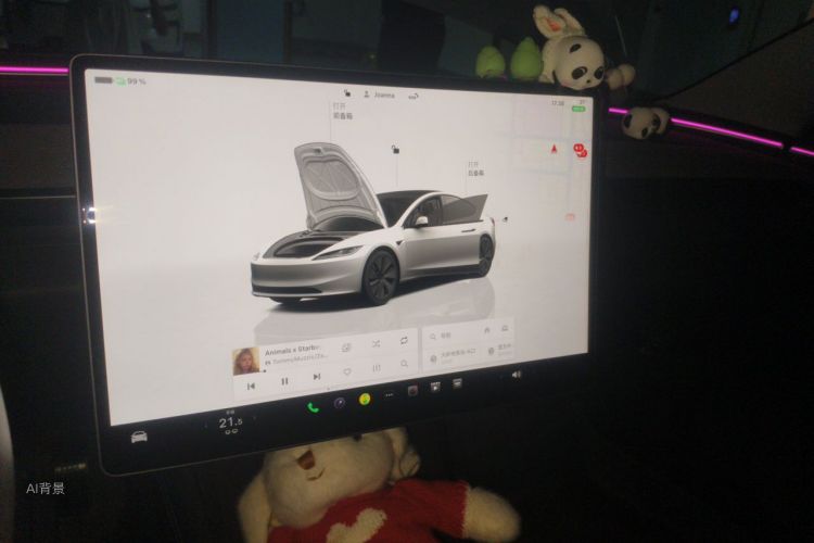 Tesla Model 3 2023 car image #13