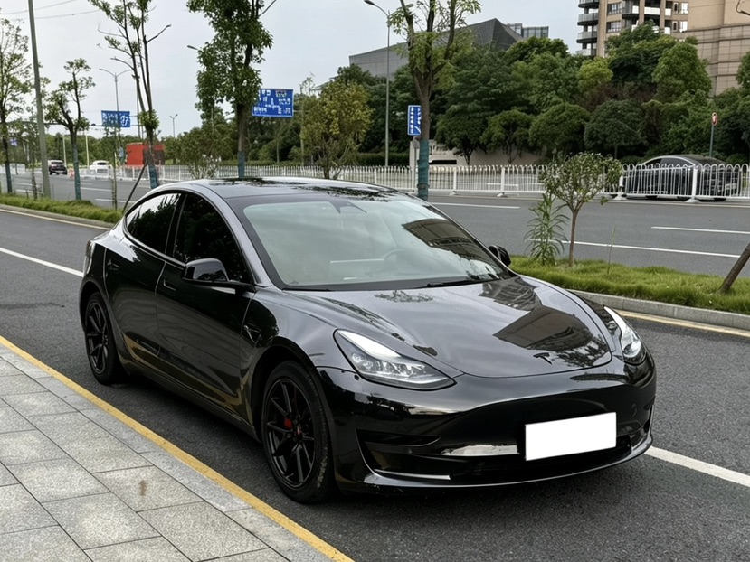 Tesla Model 3 2023 #3 Tesla Model 3 2023 car image #3