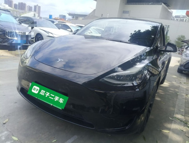 Tesla Model Y 2022 Tesla Model Y 2022 car image