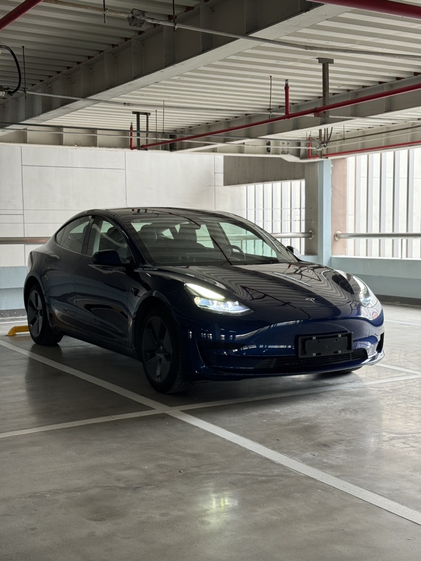 Tesla Model 3 2021 #2 Tesla Model 3 2021 car image #2