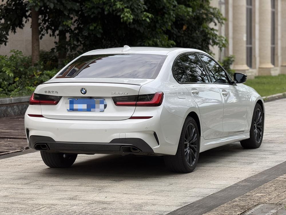 BMW 3 Series 2019 car image #6