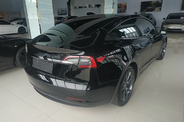 Tesla Model 3 2023 #7 Tesla Model 3 2023 car image #7