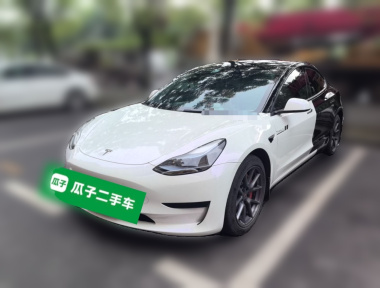 Tesla Model 3 2023 Tesla Model 3 2023 immagine di auto