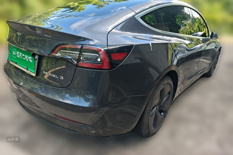 Tesla Model 3 2020 car image #7