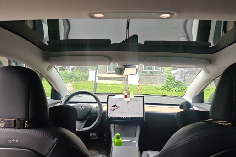 Tesla Model 3 2021 car image #20