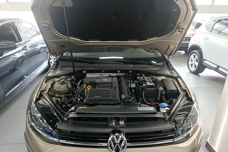 Volkswagen Golf 2019 #22 Volkswagen Golf 2019 car image #22