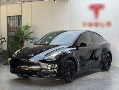 Tesla Model Y 2021 immagine di auto 