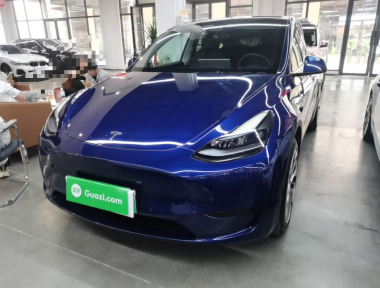 Tesla Model Y 2022 Tesla Model Y 2022 car image