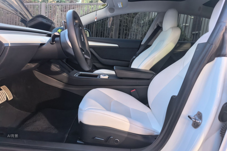Tesla Model 3 2021 car image #17