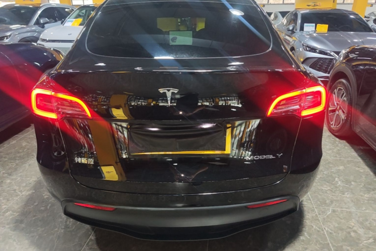 Tesla Model Y 2024 car image #6