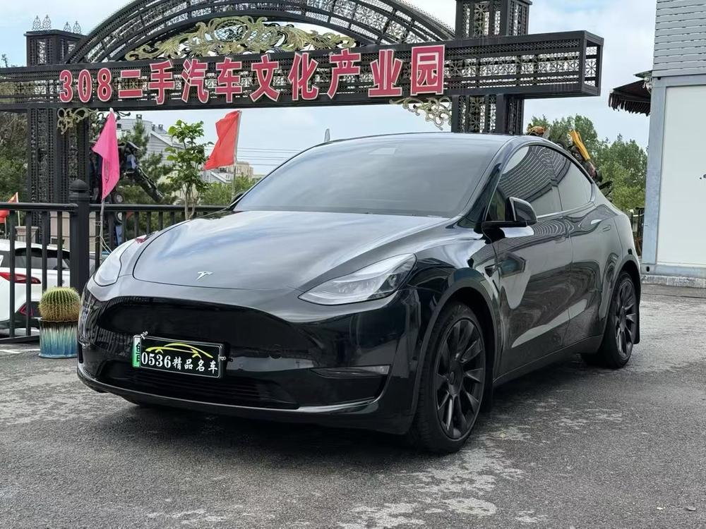 Tesla Model Y 2021 Tesla Model Y 2021 car image