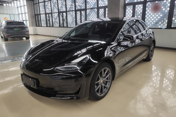 Tesla Model 3 2021 immagine di auto #2