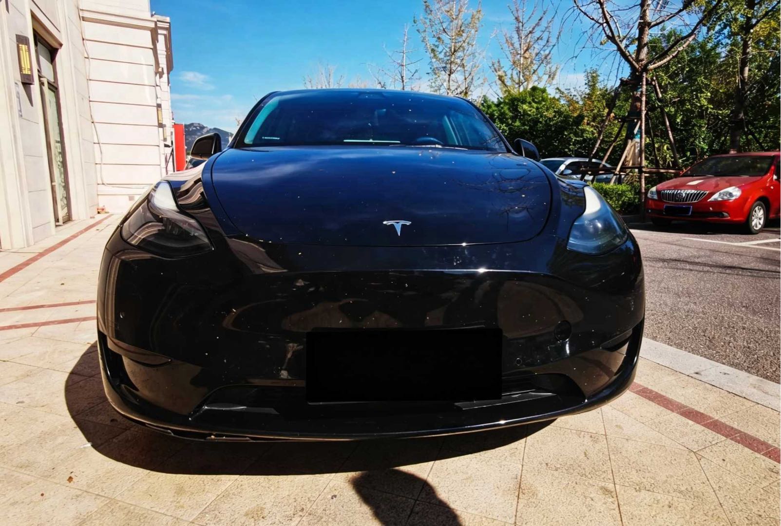 Tesla Model Y 2022 #6 Tesla Model Y 2022 car image #6