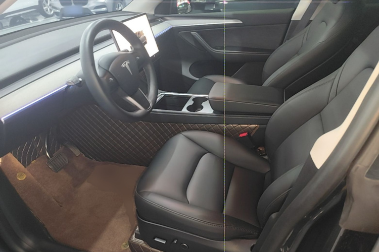 Tesla Model Y 2024 car image #19