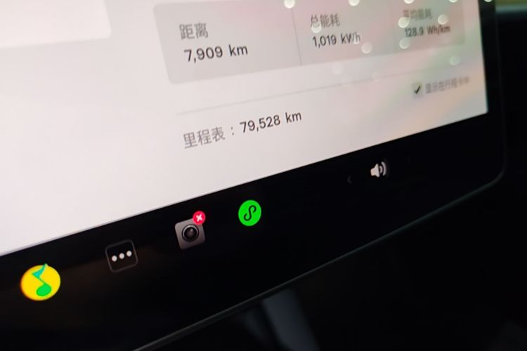 Tesla Model Y 2022 car image #12