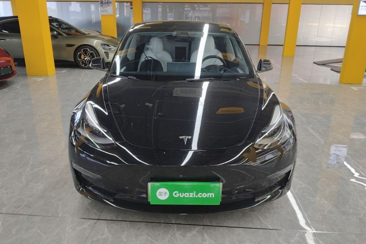 Tesla Model 3 2022 #3 Tesla Model 3 2022 car image #3