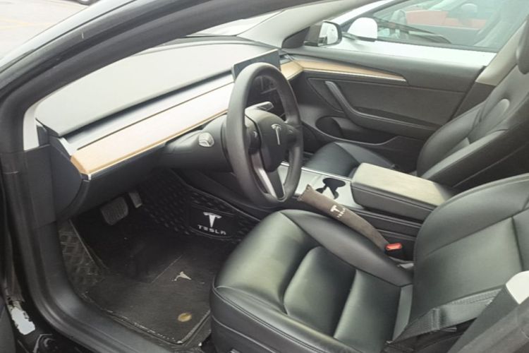Tesla Model 3 2021 car image #16