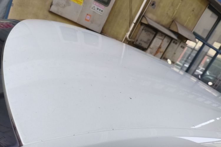 Volkswagen Santana 2019 #25 Volkswagen Santana 2019 car image #25